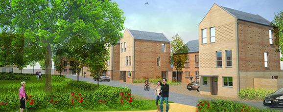 Regeneration in Harlow Moves a Step Closer